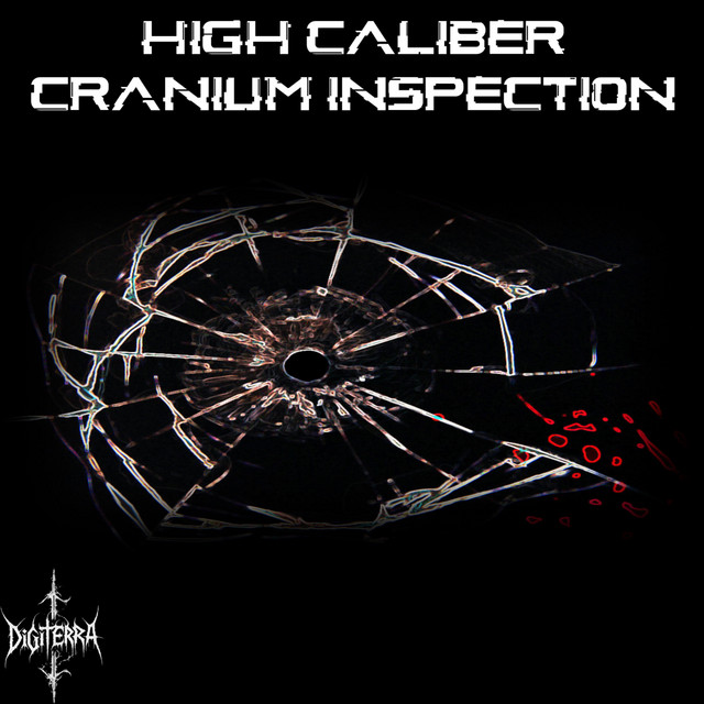 High Caliber Cranium Inspection