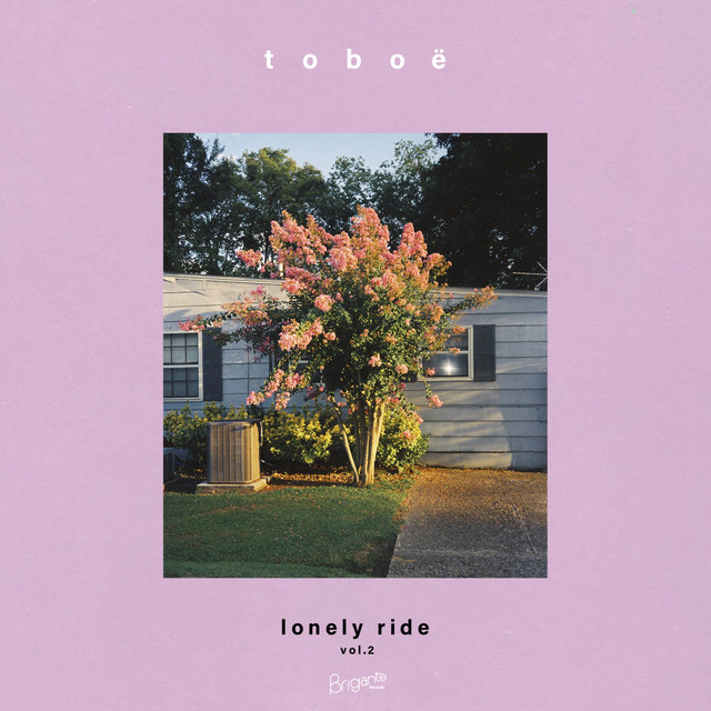 Lonely Ride, Vol. 2 cover art