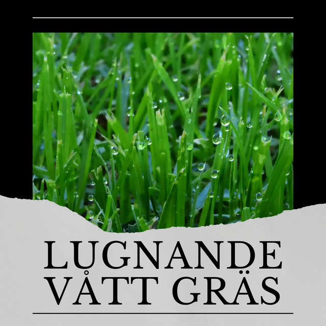 Lugnande Vått Gräs cover art