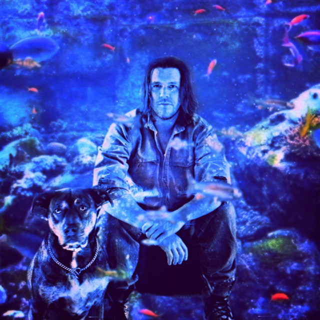 David Foster Wallace Photo