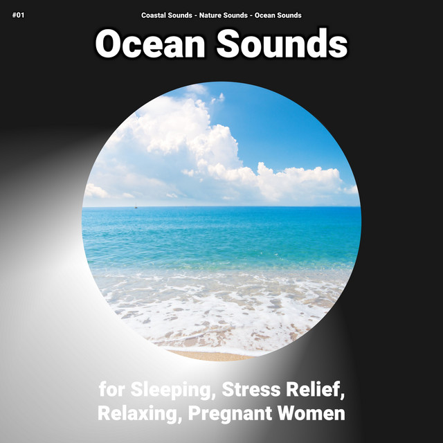 #01 Ocean Sounds for Sleeping, Stress Relief, Relaxing, Pregnant Women cover art
