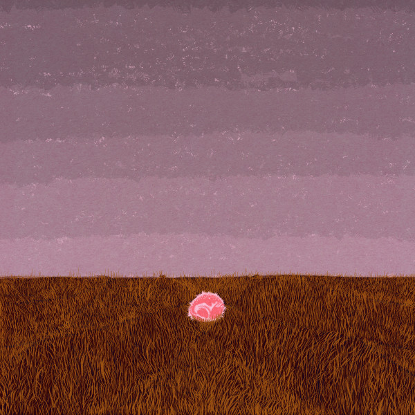 Fawn cover
