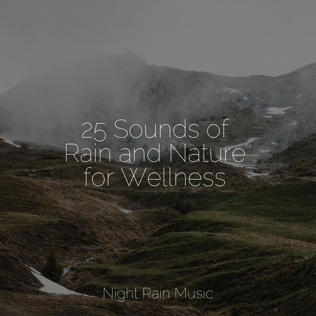 25 Sounds of Rain and Nature for Wellness - Album by Nature & Sounds ...