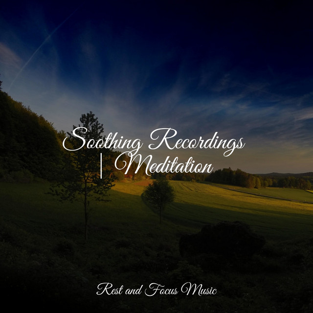 50 Soothing Sounds for Stress Relieving Meditation - Album by The Sleep ...