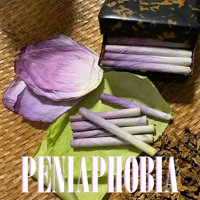 Обкладинка: Peniophobia — PARAMICELIA