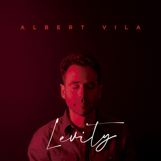 Levity cover art
