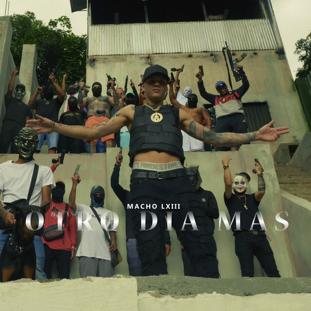 undefined album image