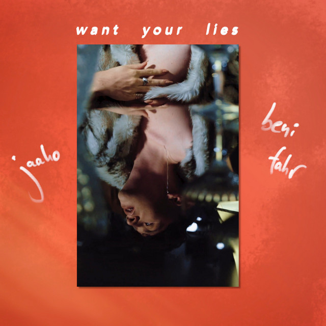Want Your Lies cover