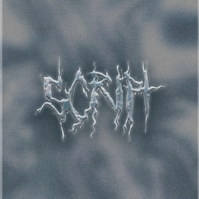 Script album image
