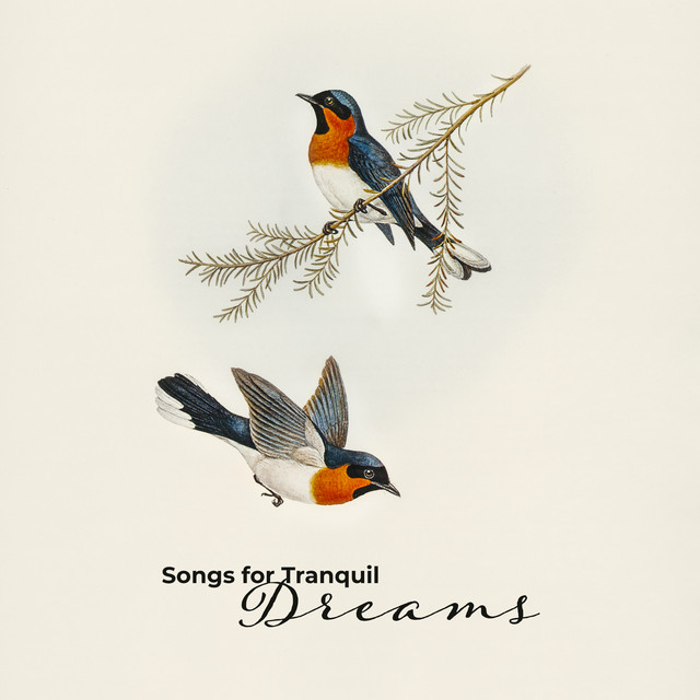 Blissful Dreams cover art