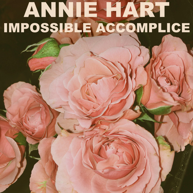 Impossible Accomplice cover