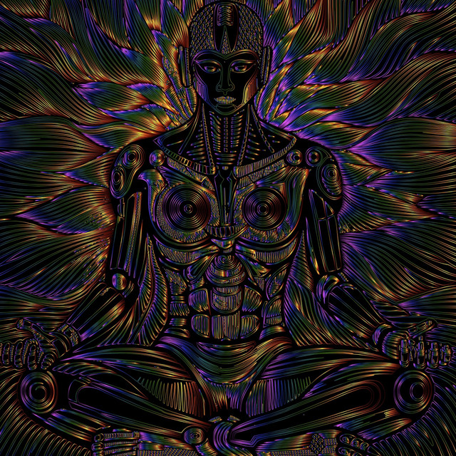 Midnight Savanna cover