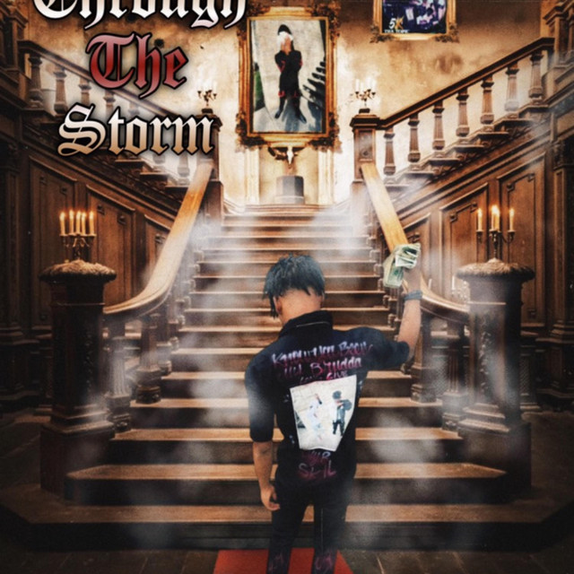 through the storm cover art