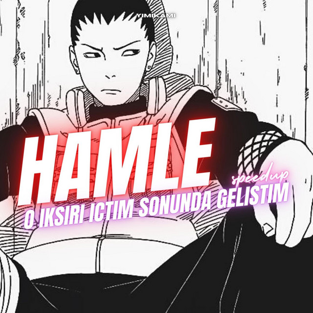hamle (Speedup Version) cover art