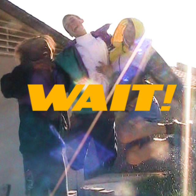 WAIT! cover art