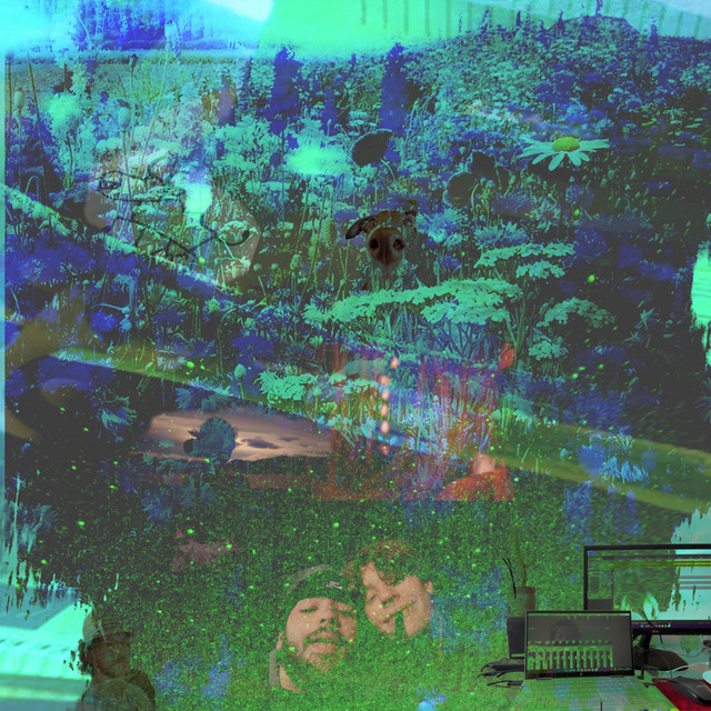 TMS cover art
