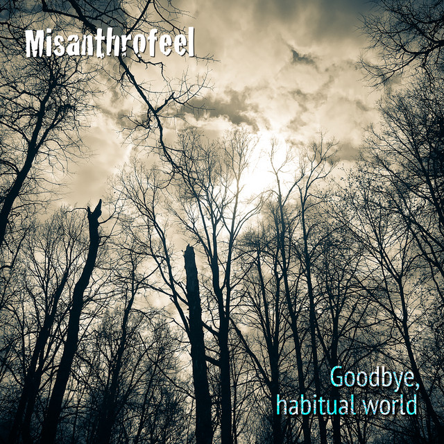 Misanthrofeel Photo