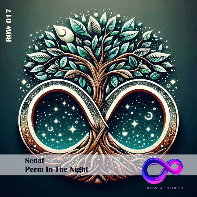 Perm in the Night - Extended Mix album art