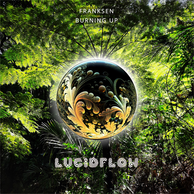 Burning Up cover art