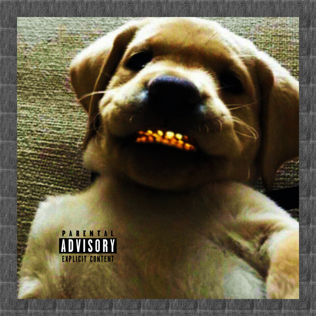Cachorro de Mendigo