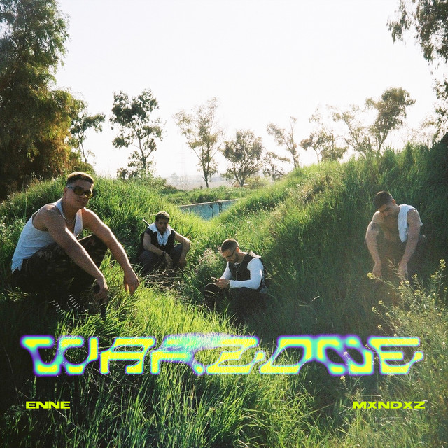 Warzone cover art