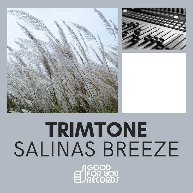 Salinas Breeze album art