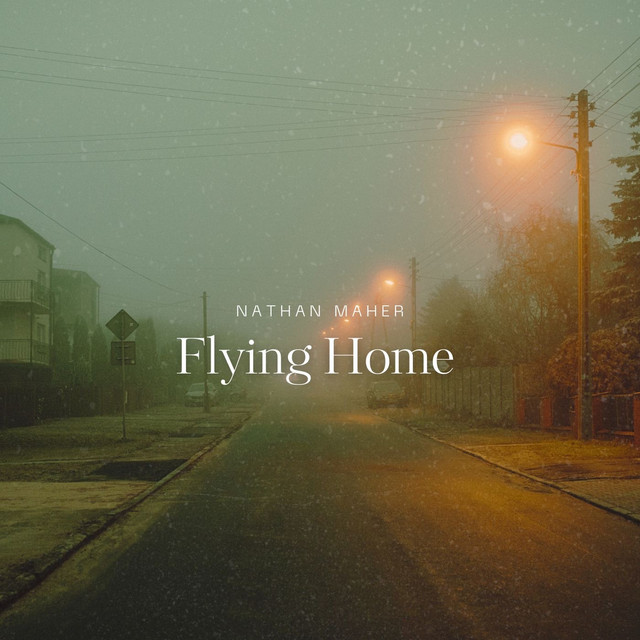 Flying Home cover