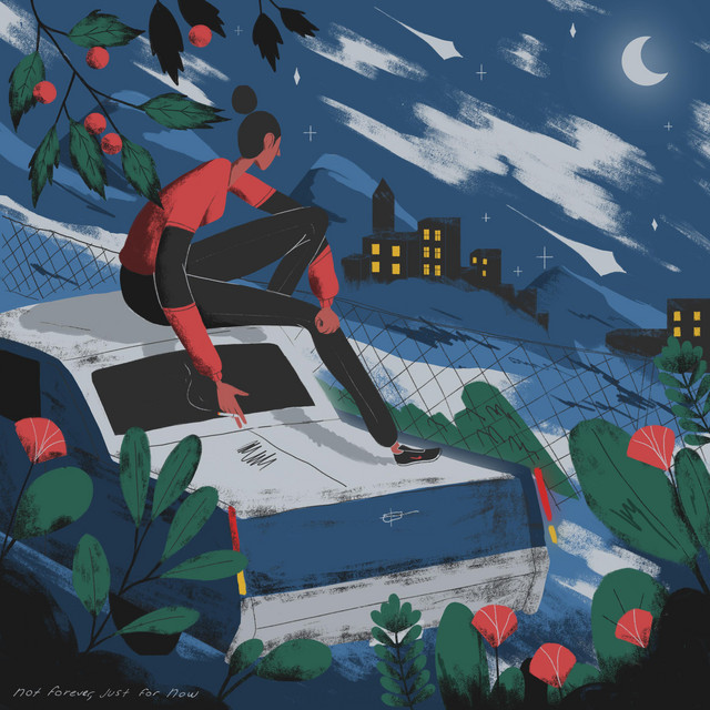 Not Forever, Just for Now cover art