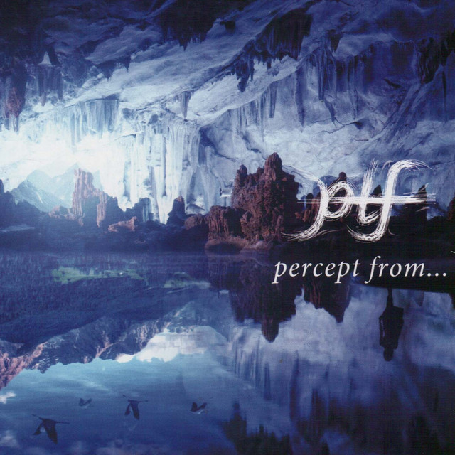 Percept from... cover art