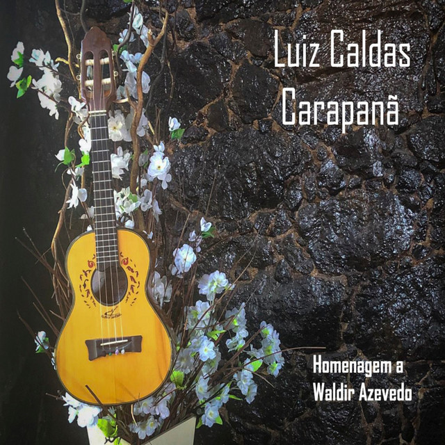 Gaivota cover art