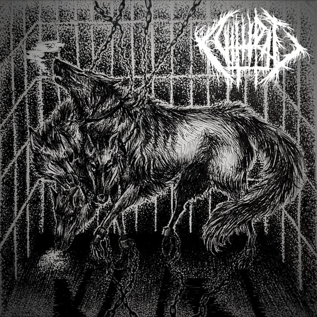 Nightly Horrors (Live from The Beast's Cage) cover art