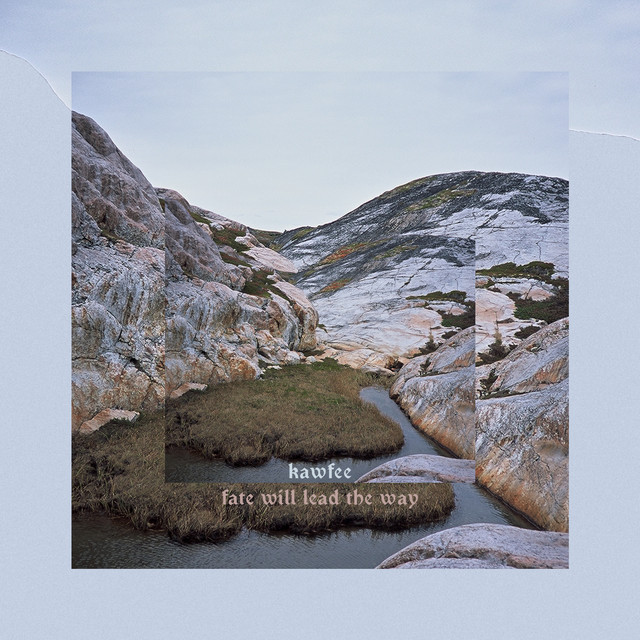 Fate will lead the way cover