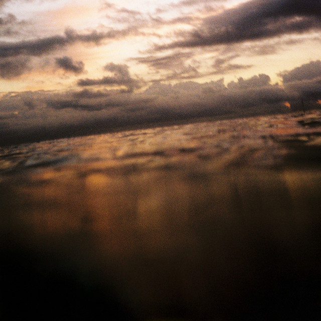 The Wave