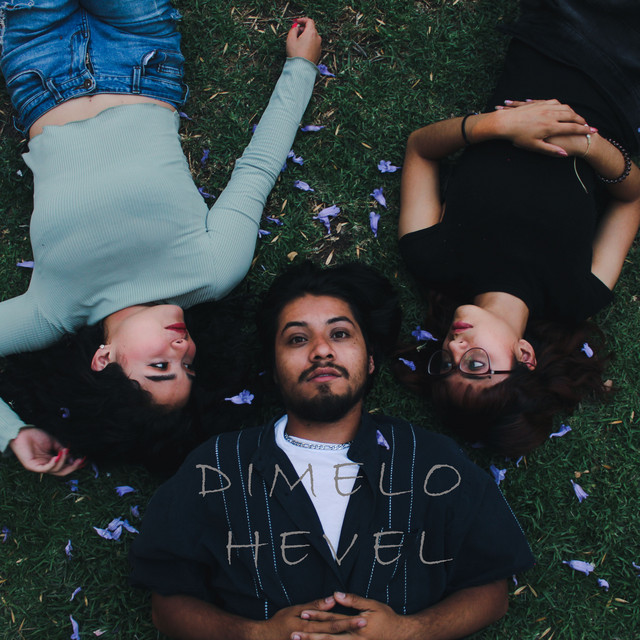 Dimelo cover art