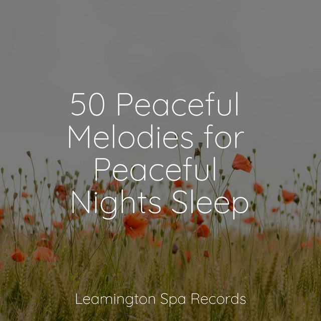 50 Peaceful Melodies for Peaceful Nights Sleep - Album by Mother Nature ...
