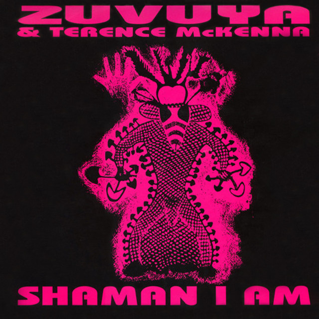 Shaman I Am (Eclipse Mix) cover art