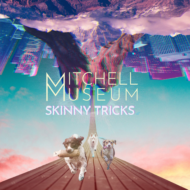 Skinny Tricks cover art
