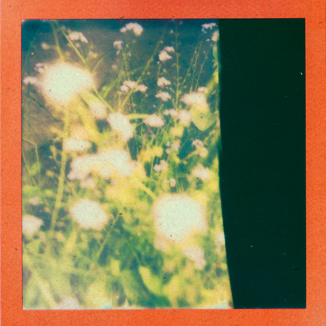 Dig cover