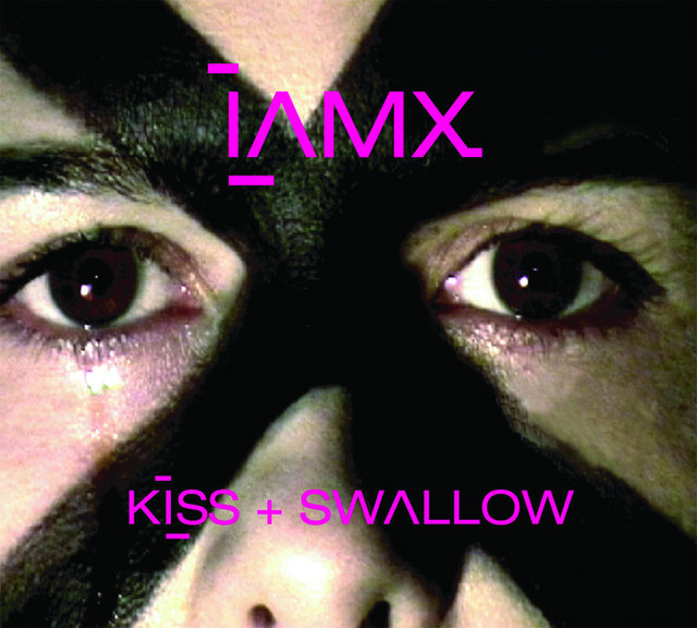 Kiss + Swallow cover art