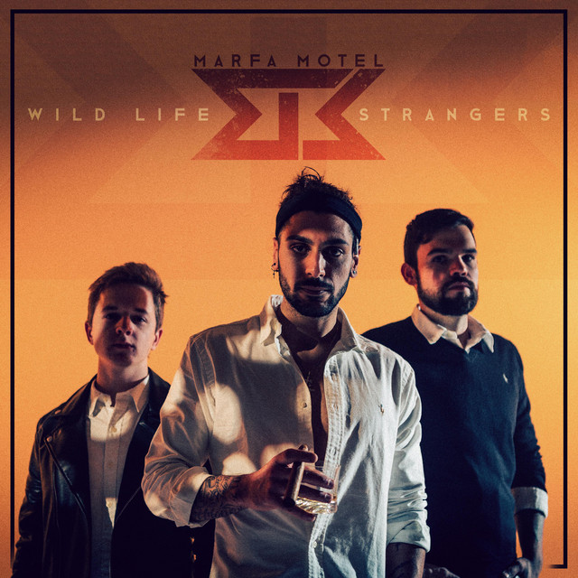 WILD LIFE STRANGERS cover