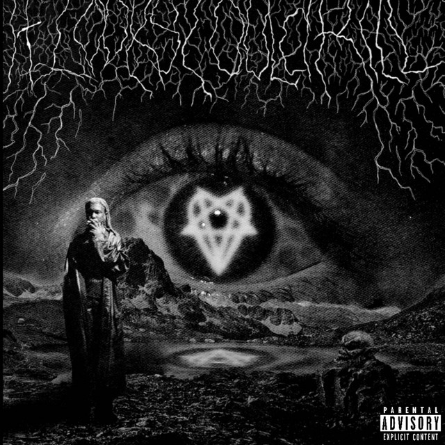 Too Damn Rich cover art