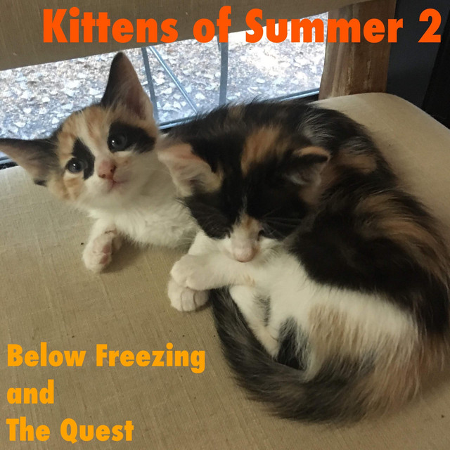 Kittens of Summer 2 cover art