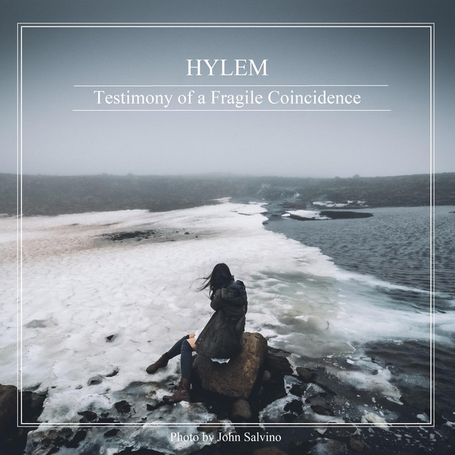 Testimony of a Fragile Coincidence cover art