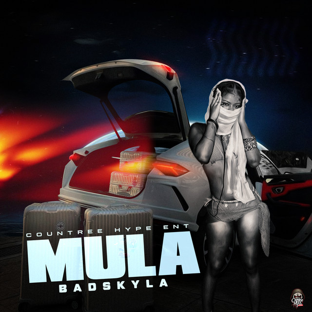 Mula album image