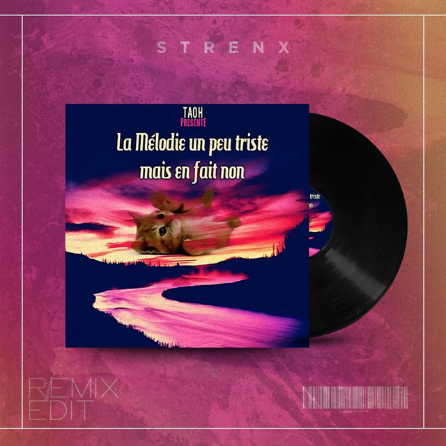 La mélodie un peu triste mais en fait non - Strenx Remix Edit