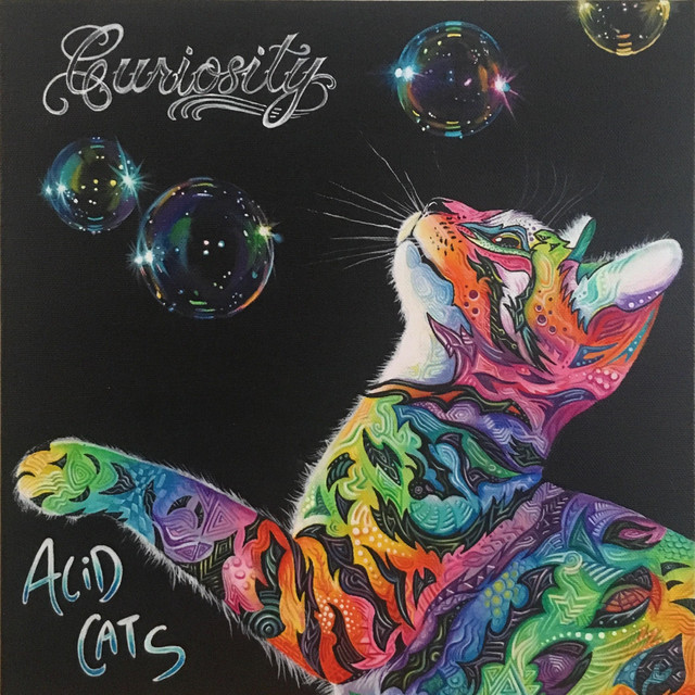 Curiosity cover art