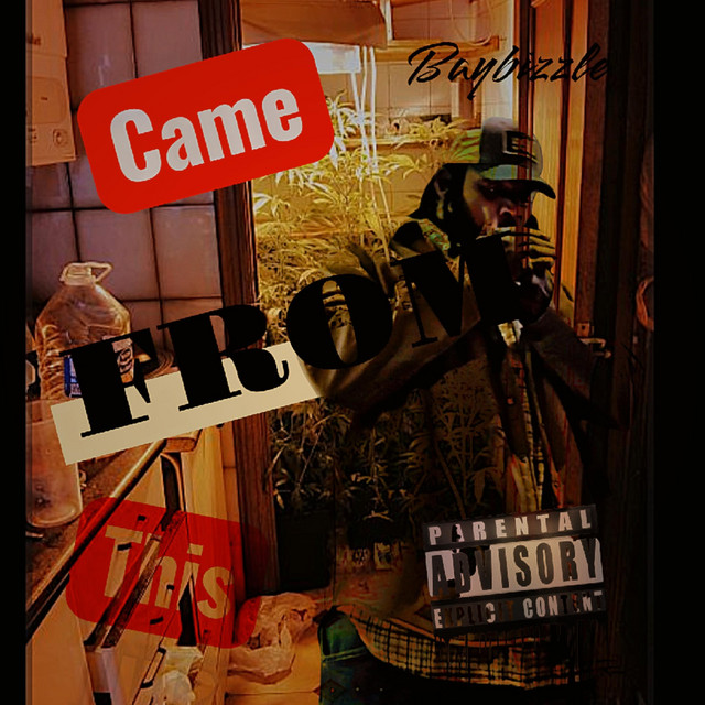 came from this