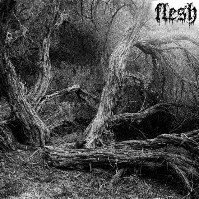 flesh cover art
