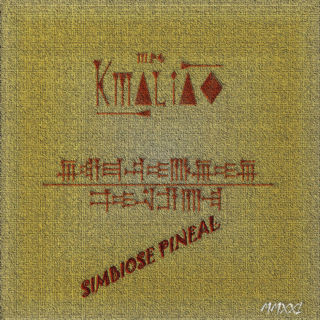 Simbiose Pineal cover art