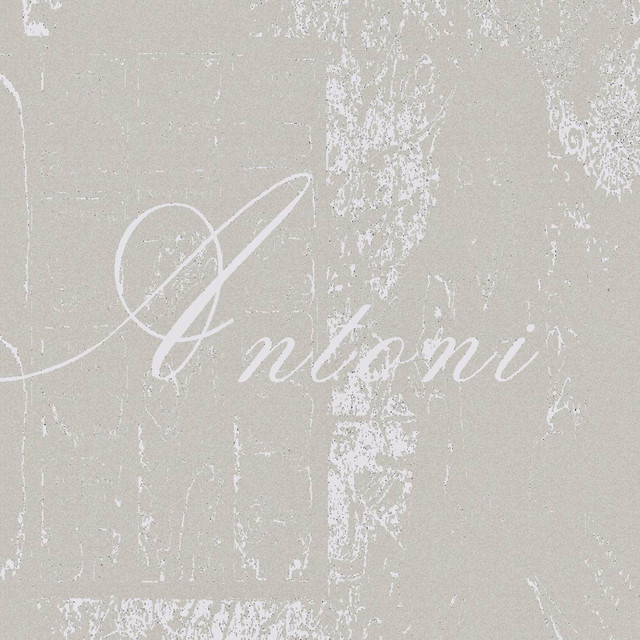 antoni cover art
